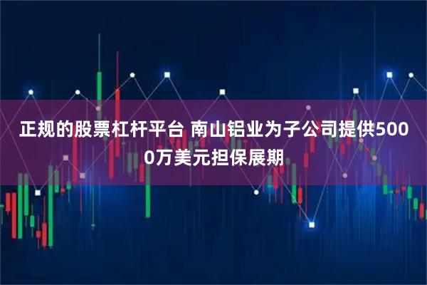 正规的股票杠杆平台 南山铝业为子公司提供5000万美元担保展期