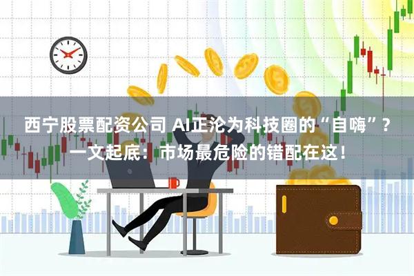 西宁股票配资公司 AI正沦为科技圈的“自嗨”?一文起底:市场最危险的错配在这!